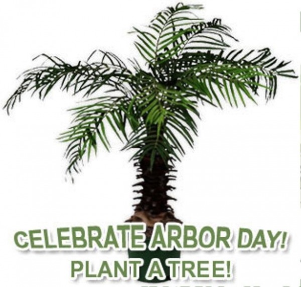 Celebrate Arbor Day Plant A Tree