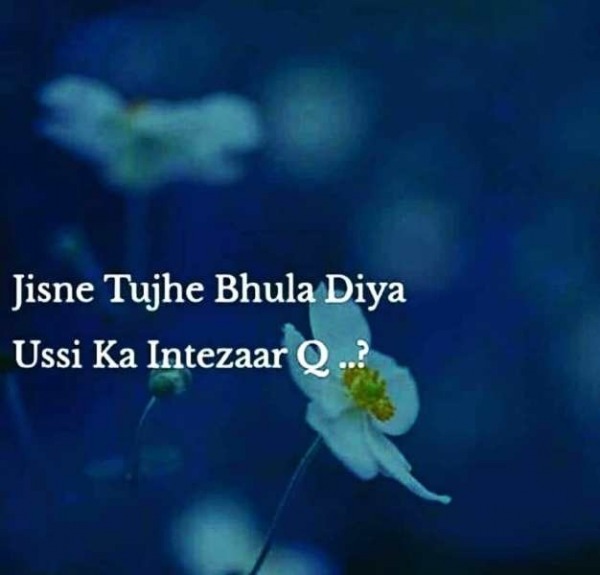 Jisne Tujhe Bhula Diya Ussi Ka Intezaar Q