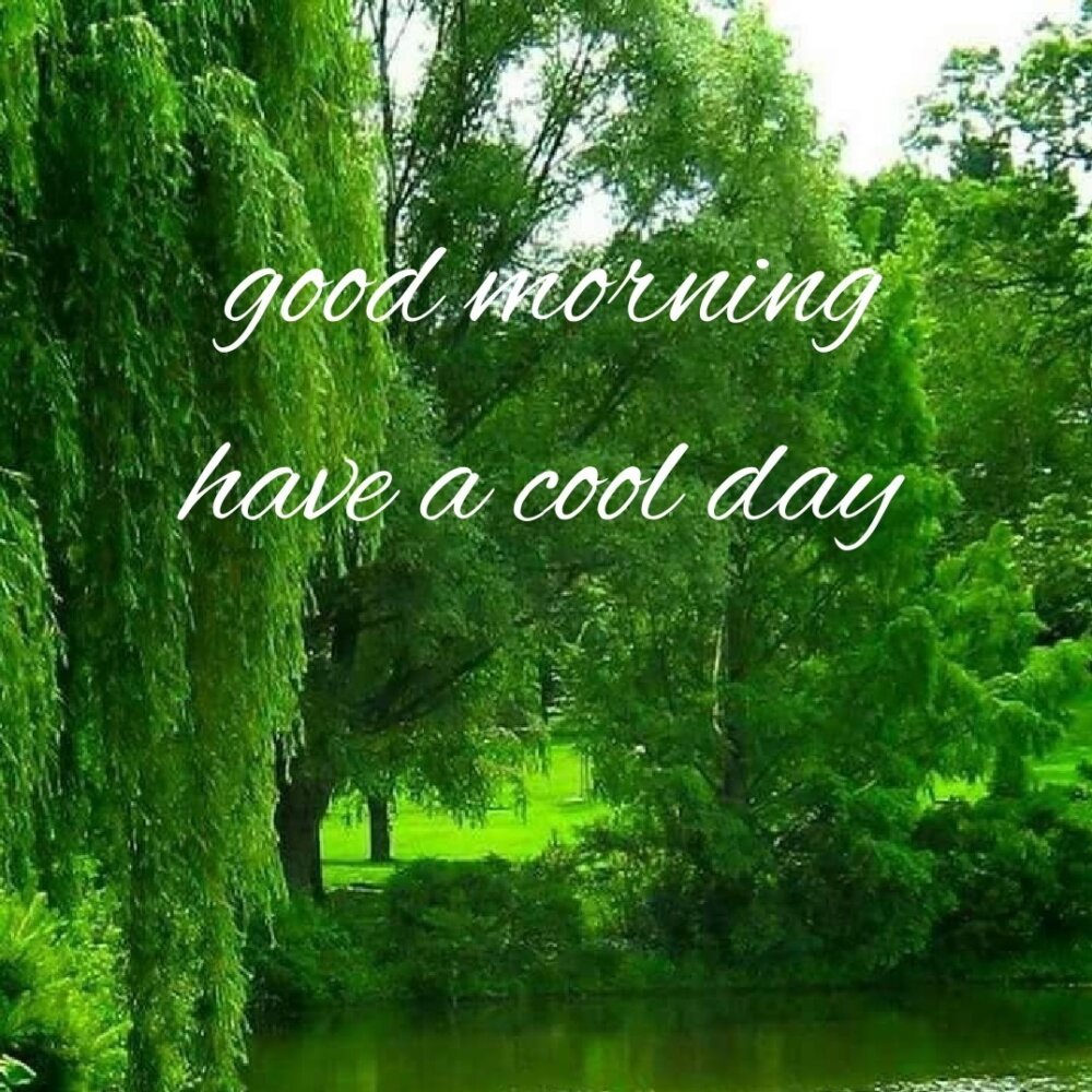 Good Morning Have A Cool Day - DesiComments.com