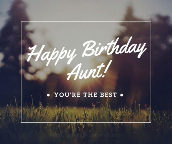 Happy Birthday Aunt You Are The Best