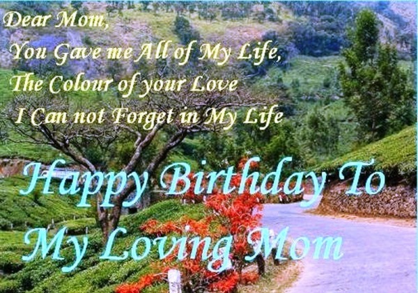 Happy Birthday To My Loving Mom