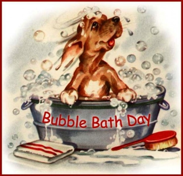 Image Of Bubble Bath Day