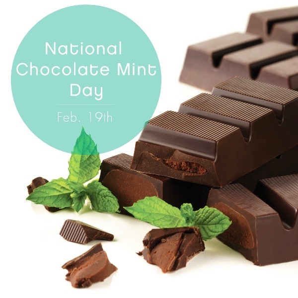 National Chocolate Mint Day Photo