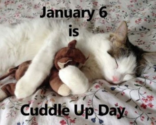 Cuddle Up Day