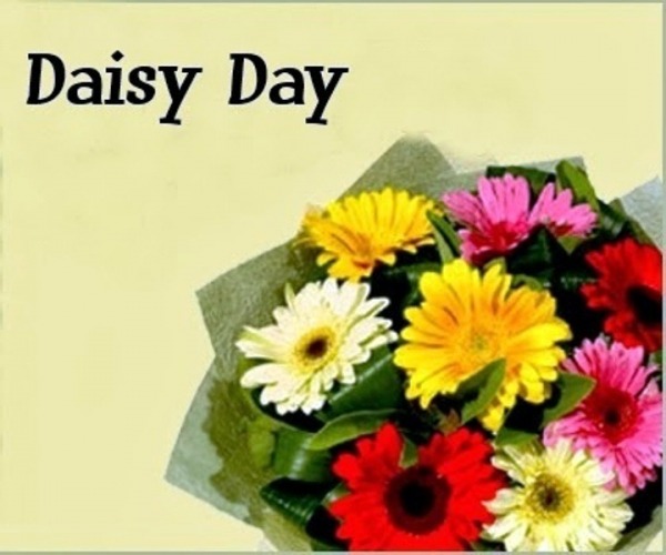 Daisy Day Nice Pic