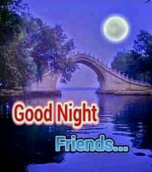 Good Night Friends