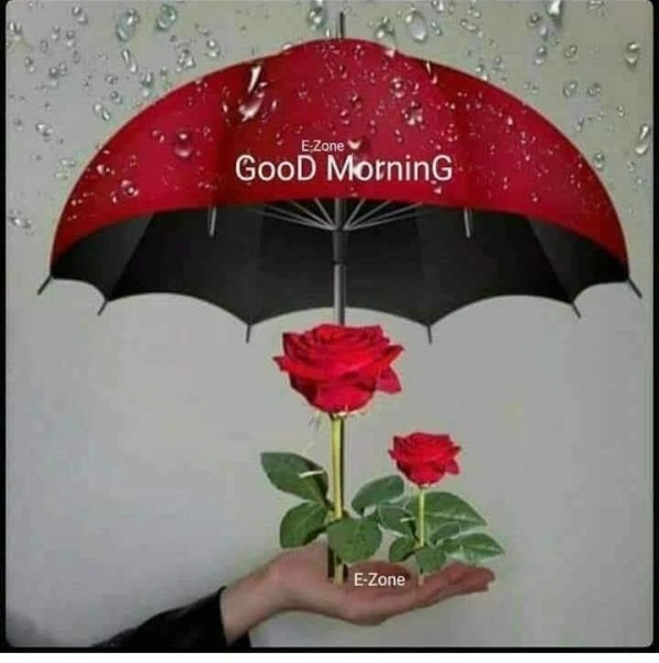 Picture Of Good Morning