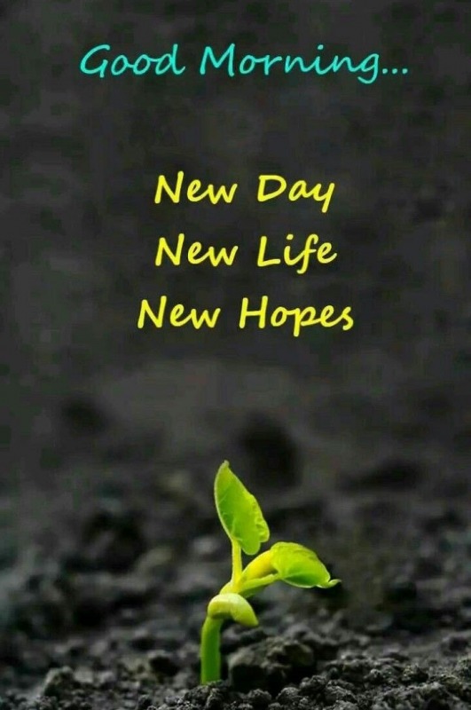 Good Morning New Day New Life New Hopes