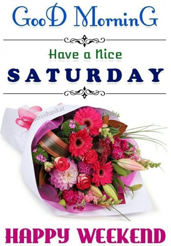 Have A Nice Saturday