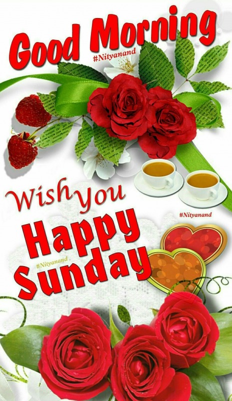 Wish You A Happy Sunday