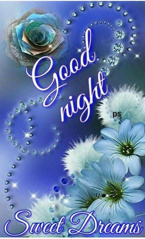 Good Night Sweet Dreams