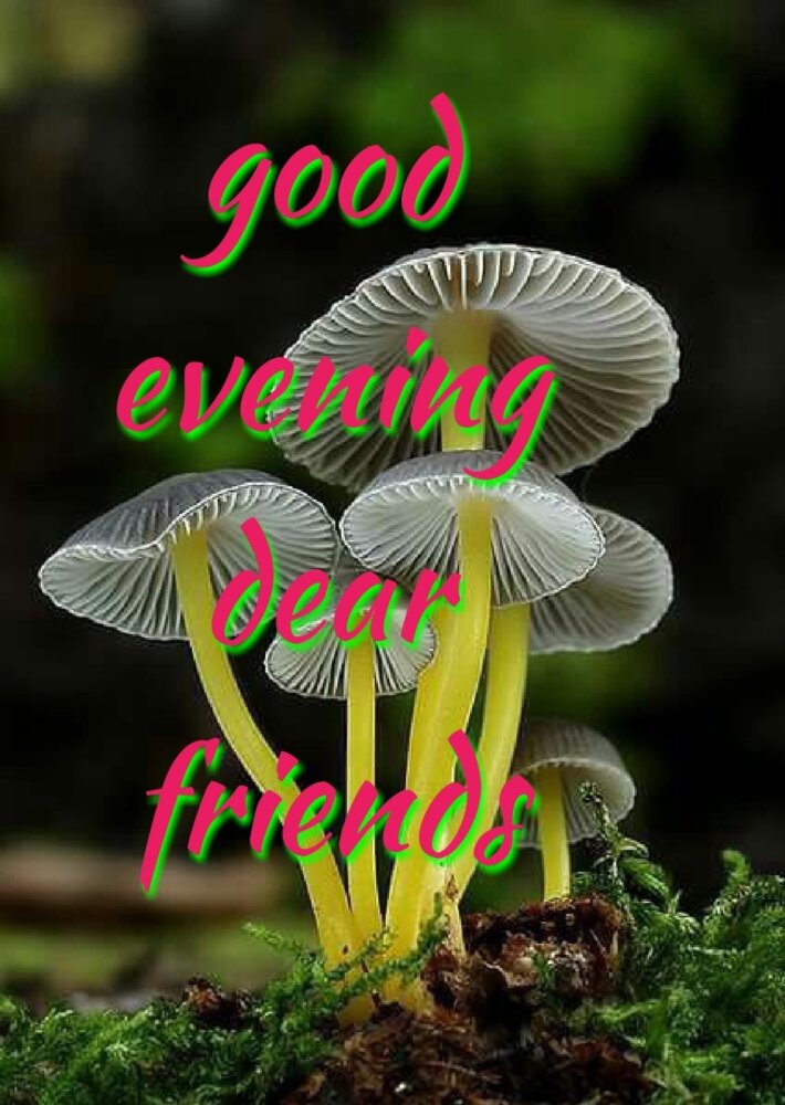 Good Evening Dear Friends - DesiComments.com