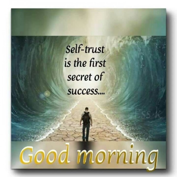 Self Trust Is The First Secret Of Success