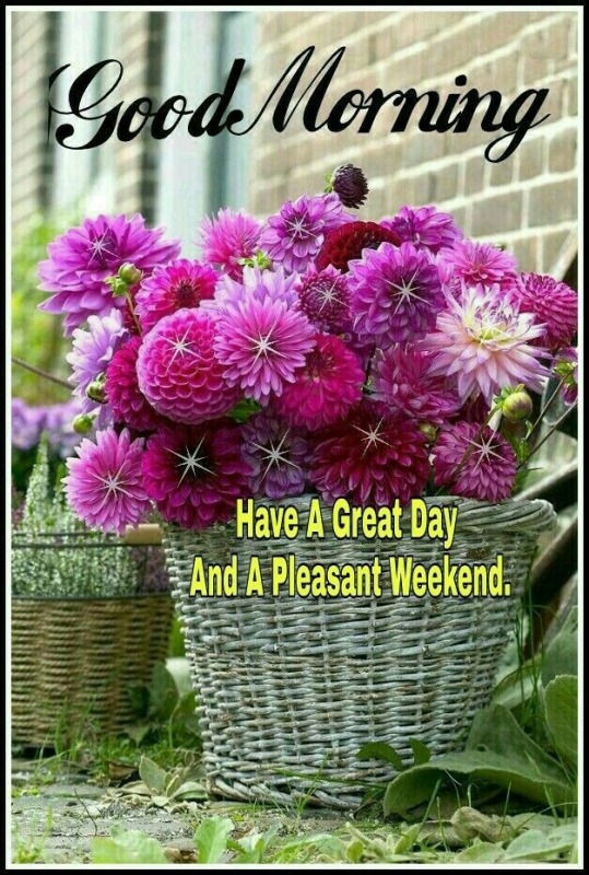 Have A Great Day And Pleasant Weekend