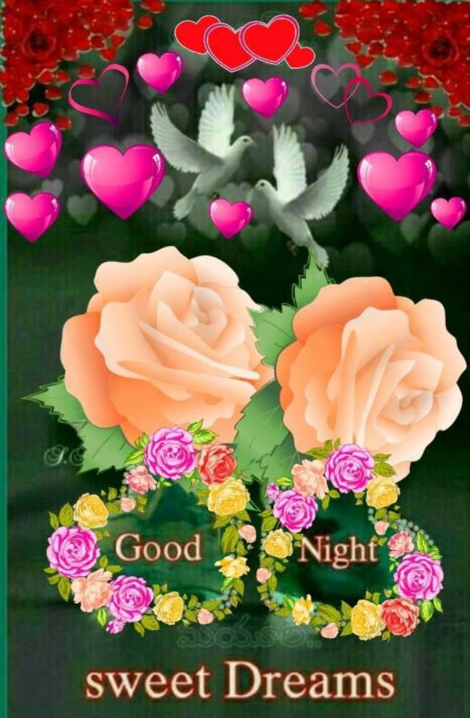 Good Night Sweet Dreams