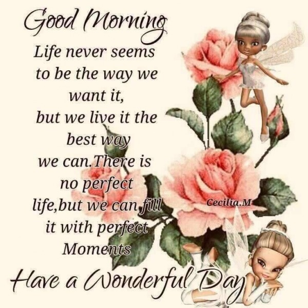 There Is No Perfect Life. Have A Wonderful Day