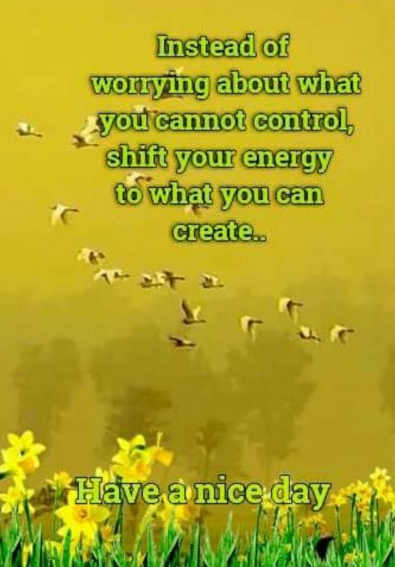 Shift Your Energy To What You Can Create