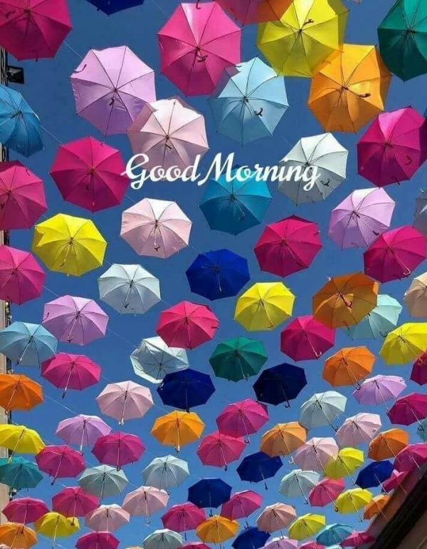 Colorful Good Morning