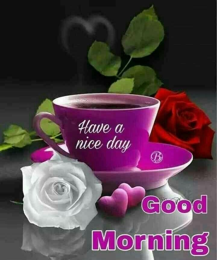 Have A Nice Day Good Morning DesiComment