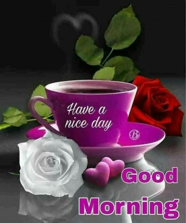 Have A Nice Day Good morning