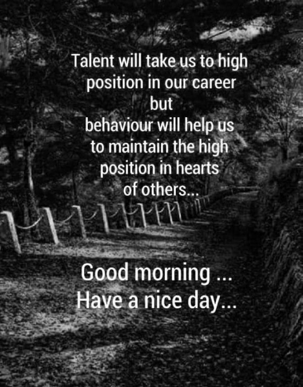 Talent Will Take Us To High Position