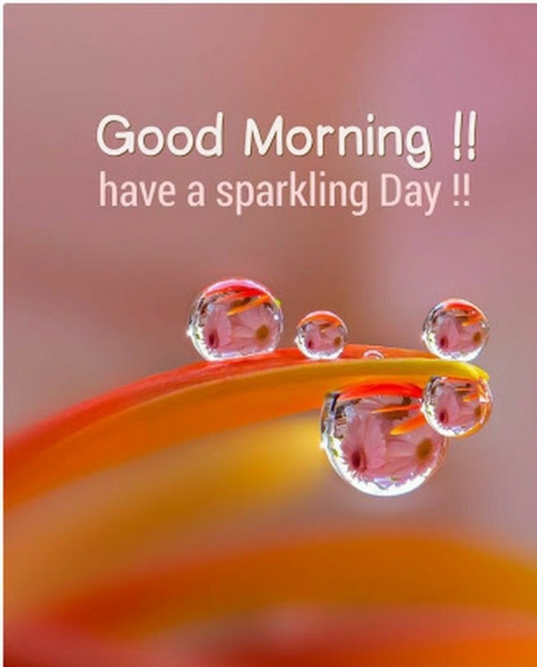 Good Morning Have A Sparkling Day