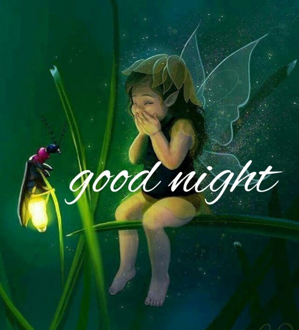 Fairy Good Night Image