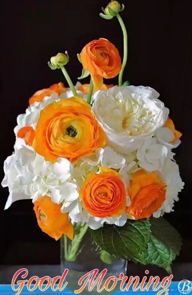 Good Morning With Beautiful Flowers - DesiComments.com