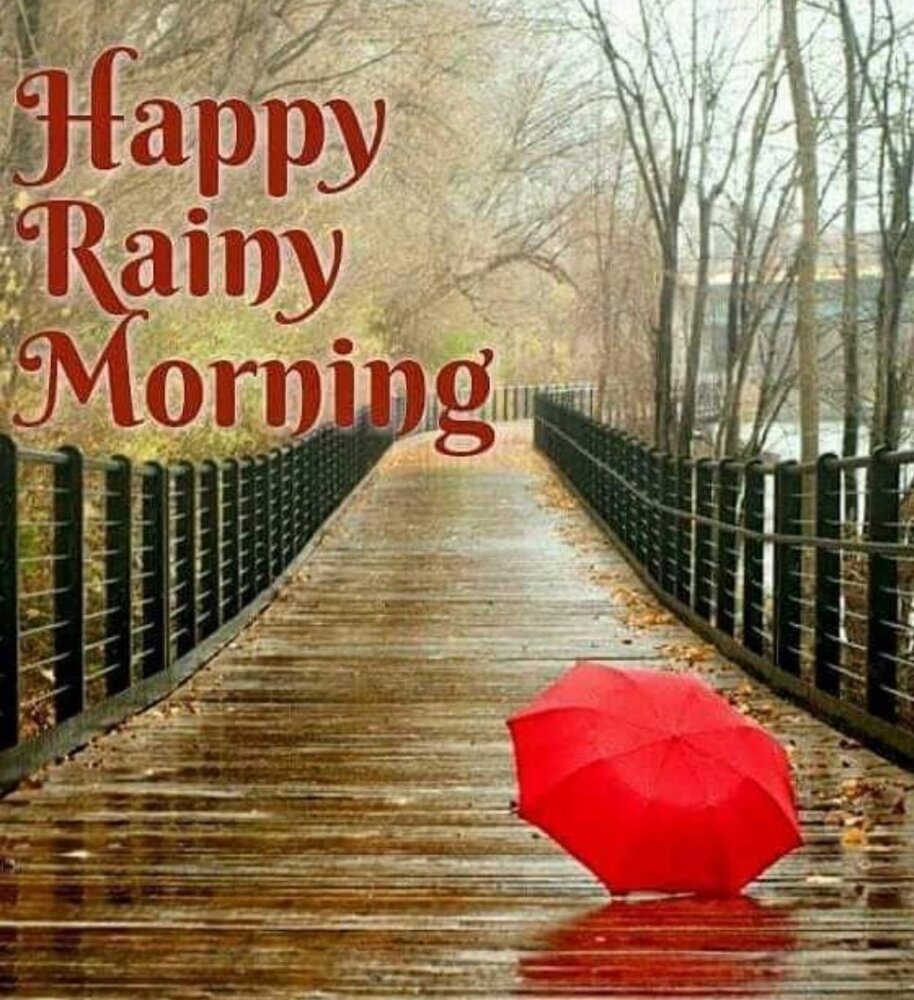 Happy Rainy Morning.