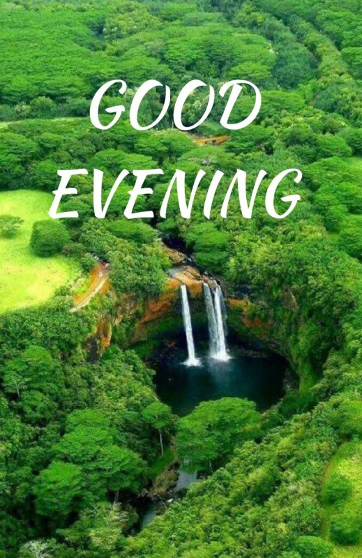 Greenery Good Evening