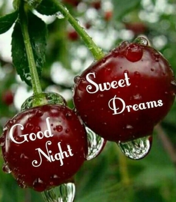 Good Night Sweet Dreams