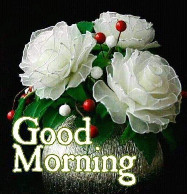 Good Morning With White Roses
