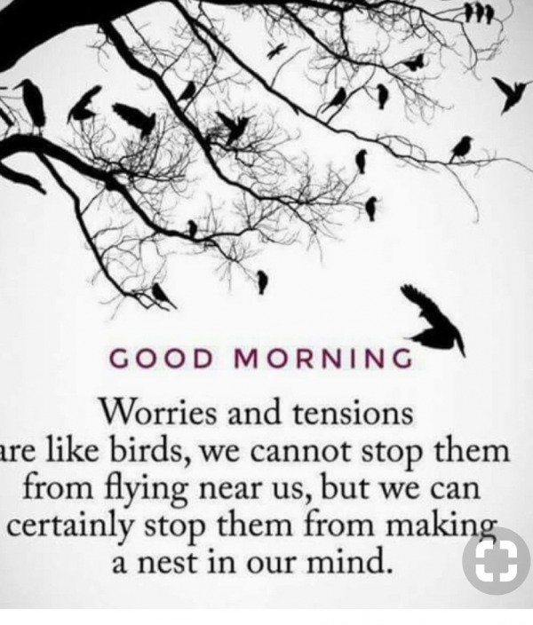 Worries And Tensions Are Like Bird