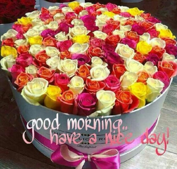 Good Morning Have A Nice Day