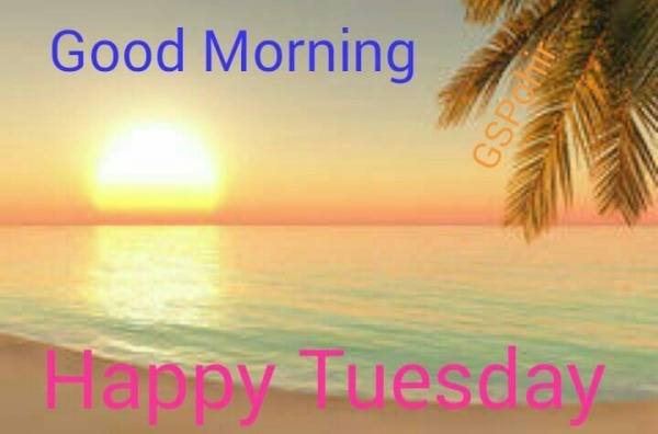 Happy Tuesday