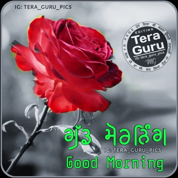 Good Morning