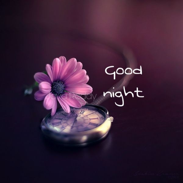 Good Night Pictures, Images, Graphics