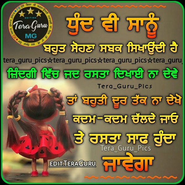 Rasta Saf Hunda Javega
