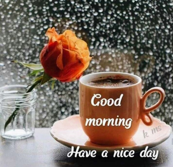 Good Morning Have A Nice Day - Desi Comments