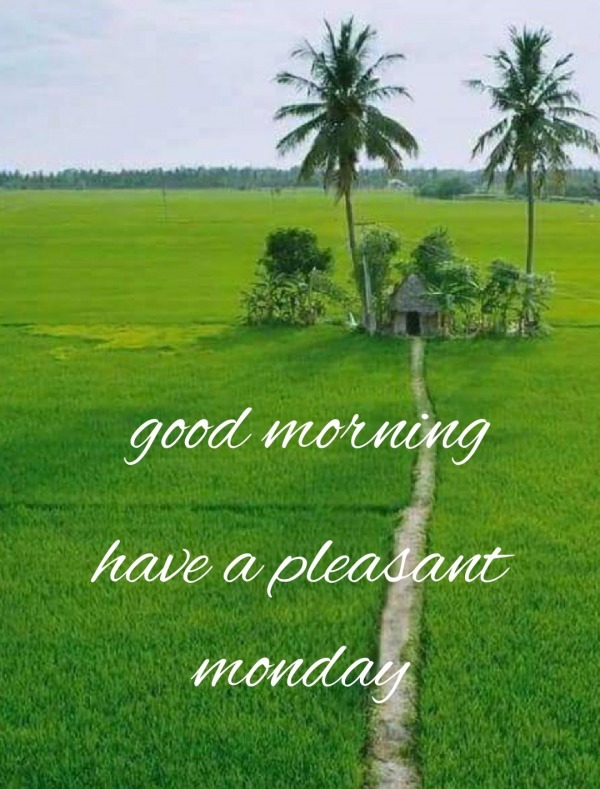 Good Morning Have A Pleasant Monday