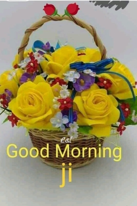 Good Morning Ji