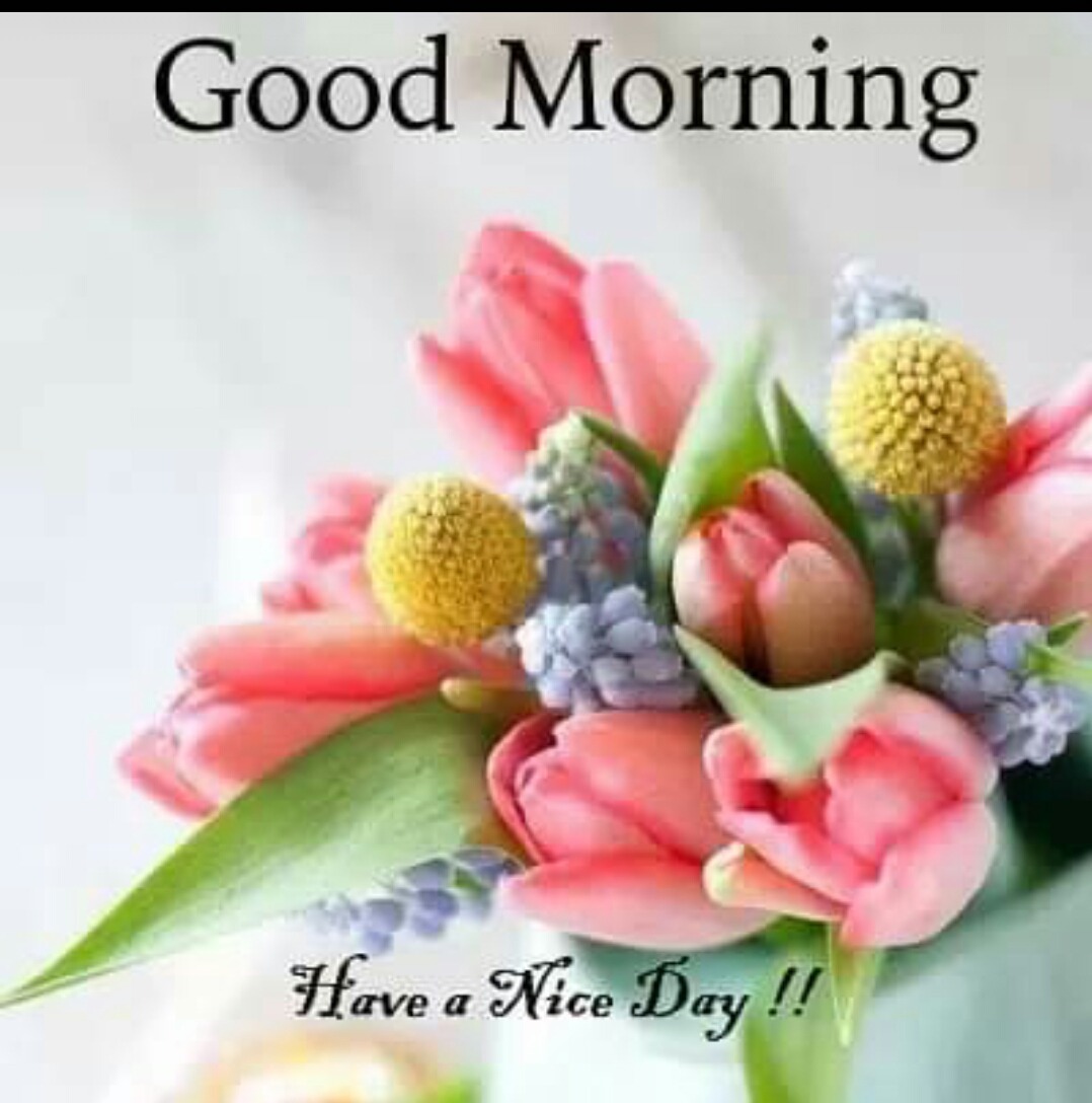 Good Morning Have A Nice Day - DesiComments.com