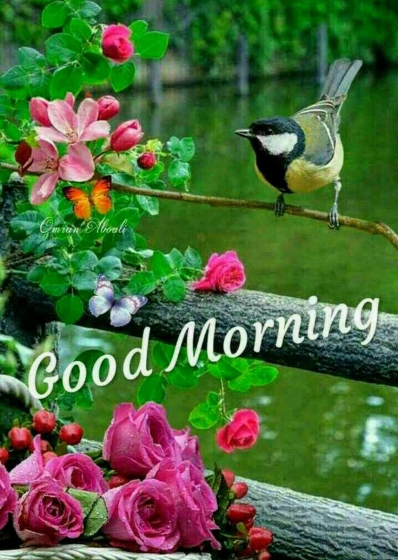 Picture Of Good Morning