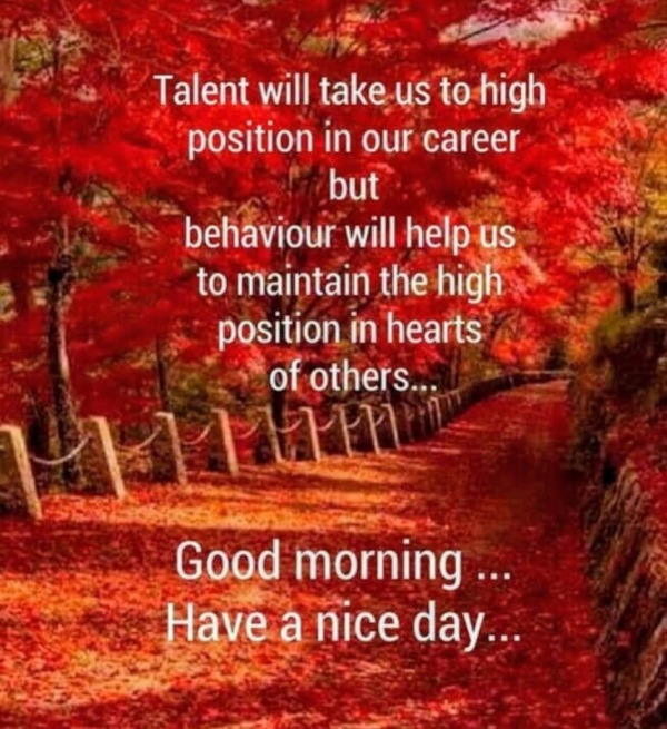 Talent Will Take Us To High Position
