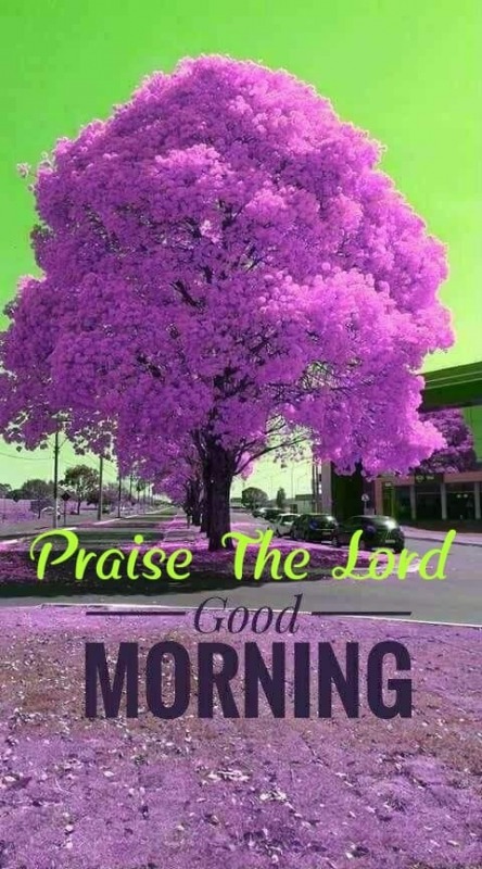 Praise The Lord Good Morning