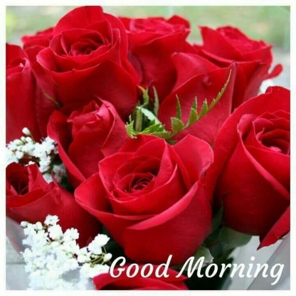 Good Morning With Red Roses