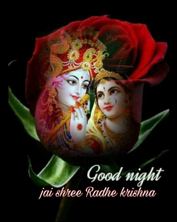 Jai Shree Radhe Krishna