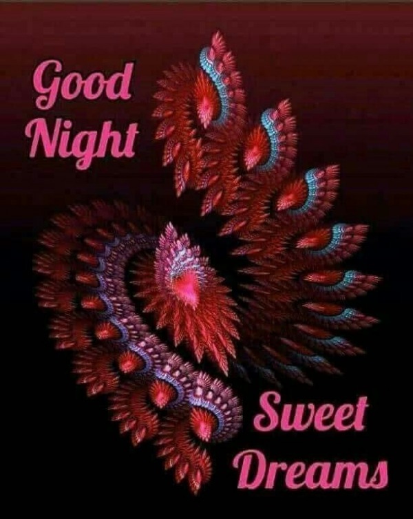 Good Night Sweet Dreams