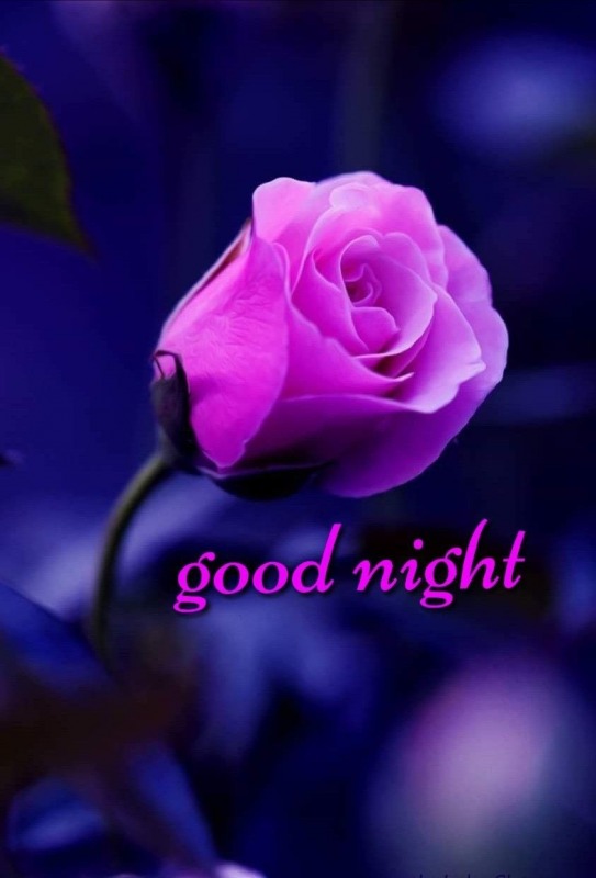 Picture Of Good Night