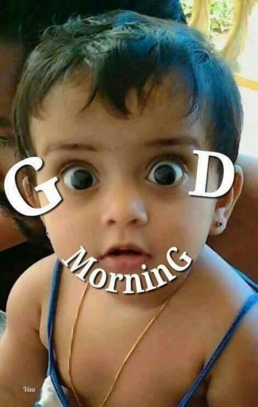 Cute Morning Picture